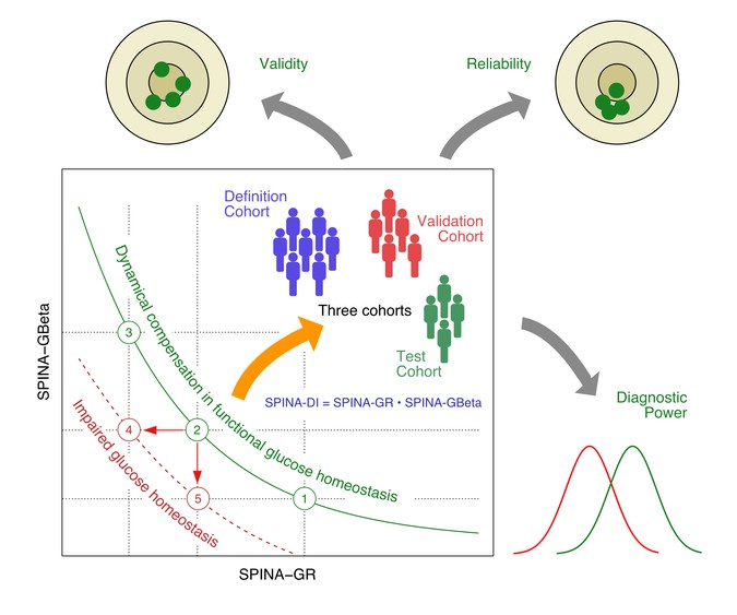 Graphical Abstract V2.png